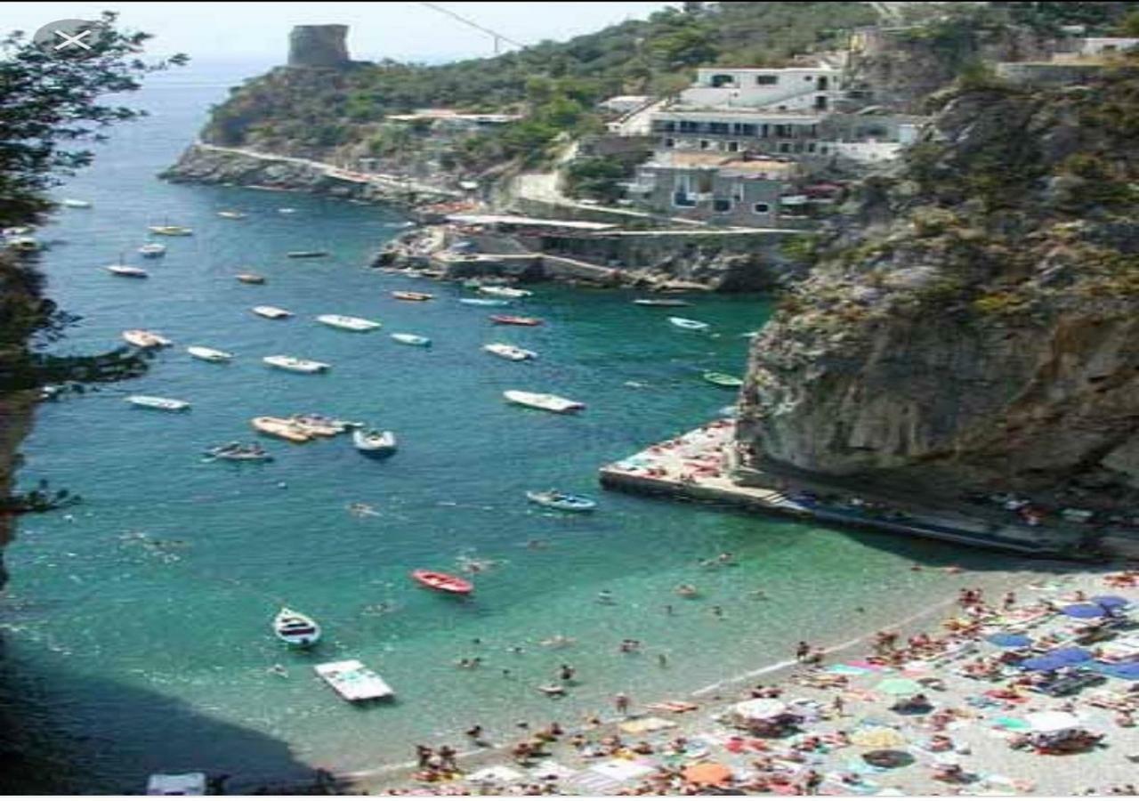 La Limonaia E La Praia Praiano Eksteriør bilde